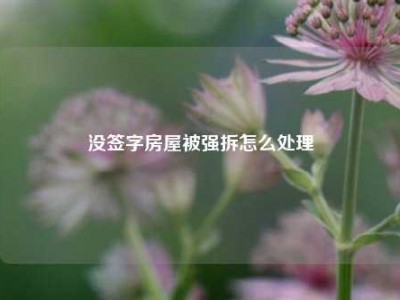 没签字房屋被强拆怎么处理
