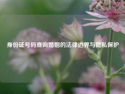 身份证号码查询婚姻的法律边界与隐私保护