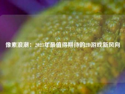 像素浪潮：2023年最值得期待的2D游戏新风向