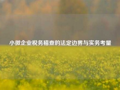 小微企业税务稽查的法定边界与实务考量