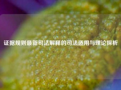 证据规则最新司法解释的司法适用与理论探析