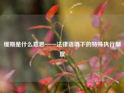 缓期是什么意思——法律语境下的特殊执行制度