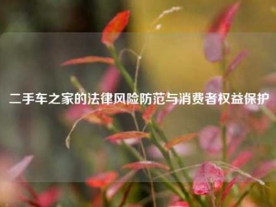 二手车之家的法律风险防范与消费者权益保护