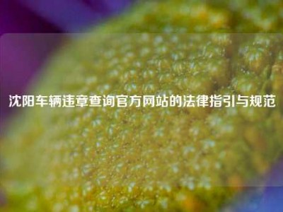 沈阳车辆违章查询官方网站的法律指引与规范