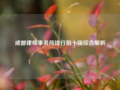 成都律师事务所排行前十强综合解析