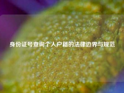 身份证号查询个人户籍的法律边界与规范