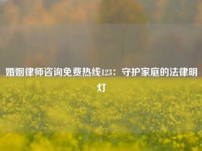 婚姻律师咨询免费热线123：守护家庭的法律明灯