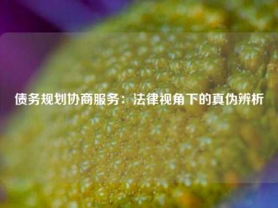 债务规划协商服务：法律视角下的真伪辨析