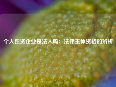 个人独资企业是法人吗：法律主体资格的辨析