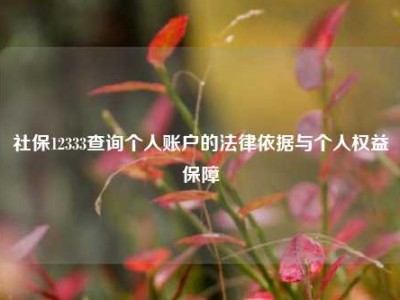 社保12333查询个人账户的法律依据与个人权益保障