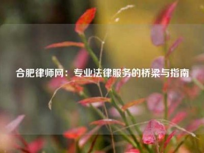 合肥律师网：专业法律服务的桥梁与指南