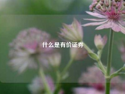 什么是有价证券
