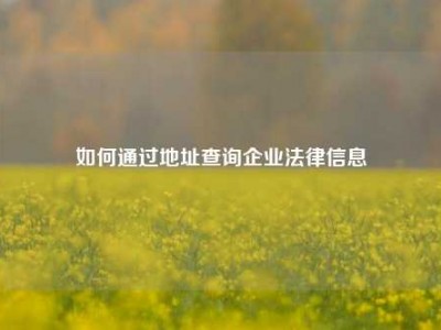 如何通过地址查询企业法律信息