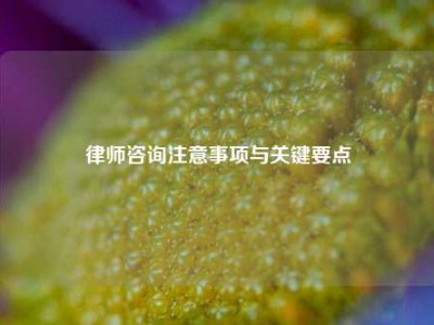 律师咨询注意事项与关键要点