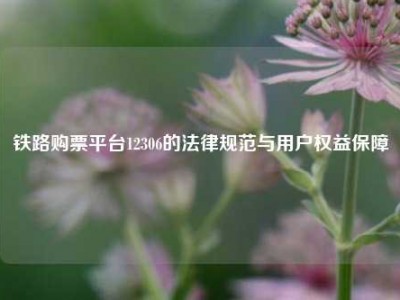 铁路购票平台12306的法律规范与用户权益保障