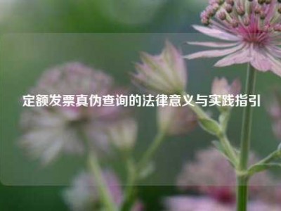 定额发票真伪查询的法律意义与实践指引