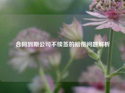 合同到期公司不续签的赔偿问题解析