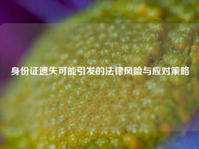 身份证遗失可能引发的法律风险与应对策略