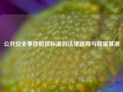 公共安全事故赔偿标准的法律适用与裁量基准