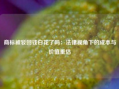 商标被驳回钱白花了吗：法律视角下的成本与价值重估