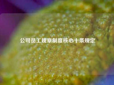 公司员工规章制度核心十条规定