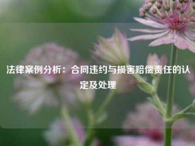 法律案例分析：合同违约与损害赔偿责任的认定及处理