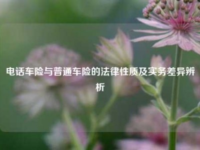 电话车险与普通车险的法律性质及实务差异辨析