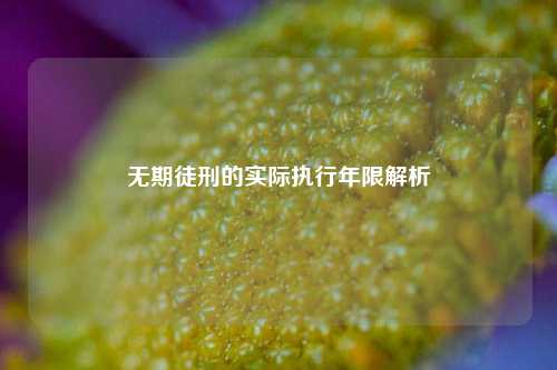 无期徒刑的实际执行年限解析