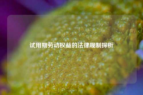 试用期劳动权益的法律规制探析
