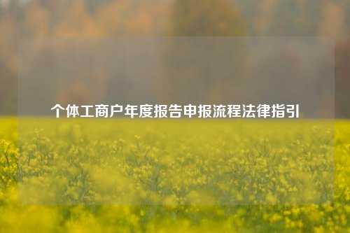 个体工商户年度报告申报流程法律指引