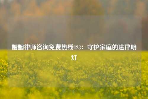 婚姻律师咨询免费热线123:守护家庭的法律明灯