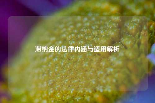滞纳金的法律内涵与适用解析