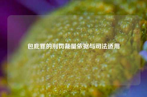 包庇罪的刑罚裁量依据与司法适用