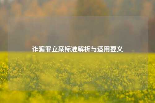 诈骗罪立案标准解析与适用要义