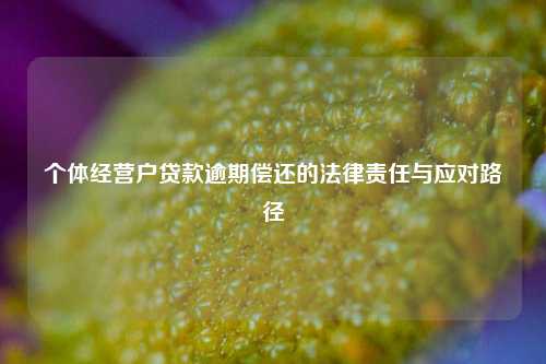 个体经营户贷款逾期偿还的法律责任与应对路径